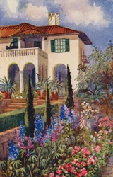 A Corner of the Garden at Villa Arcadia, Johannesburg