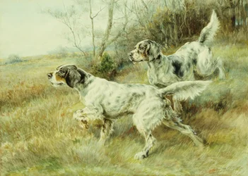 The Hunt