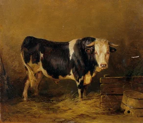 Bull in the Stable