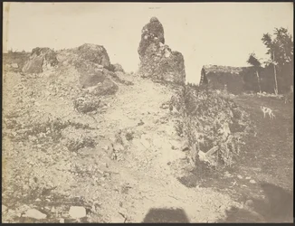 Rocky Landscape