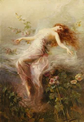 A Nymph