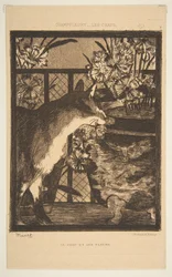 Cat and Flowers. Illustration to The Cats by Champfleury