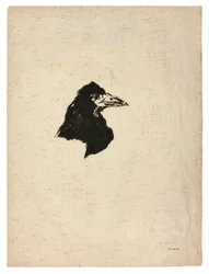 Head of a Raven in Profile, from The Raven