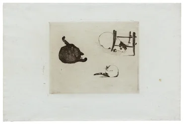 The Cats