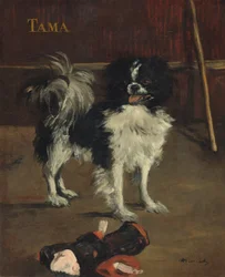 Tama, the Japanese Dog, c. 1875