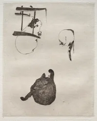 The Cats
