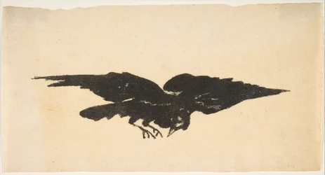 The Flying Raven, Ex Libris for The Raven by Edgar Allan Poe