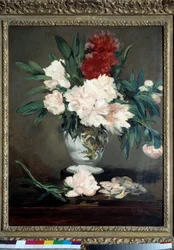 Vase of Peonies on Pieshower