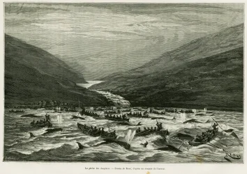 Dolphin fishing. Engraving by Riou to illustrate the story 