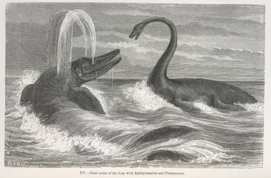 Ideal Scene of the Lias with Ichthyosaurus and Plesiosaurus