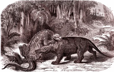 The Iguanodon and the Megalosaurus