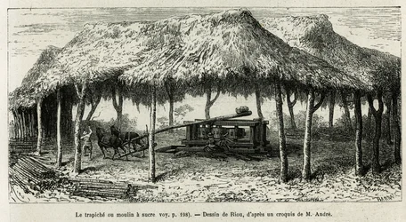 The Trapiche or Sugar Mill in Panche (Colombia) (drawing by Riou, to illustrate the story of Equinoxiale America by Ed. Andre, 1875-1876)