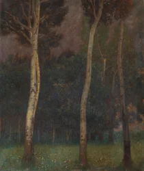 Lower Austrian Tree Landscape