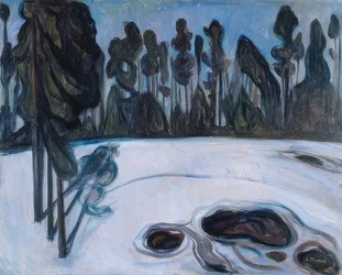 Starry Night 1901
