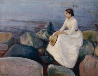 Summer Night