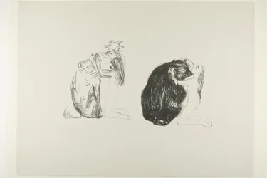 The Bear, from Alpha and Omega