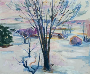 Winter Landscape from Jeløya