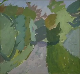 A Forest Road