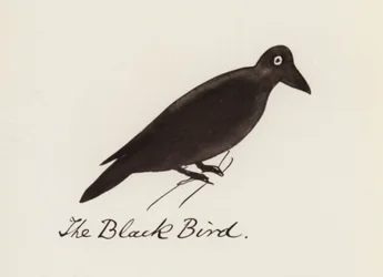 Edward Lear, The Bird Book: The Black Bird