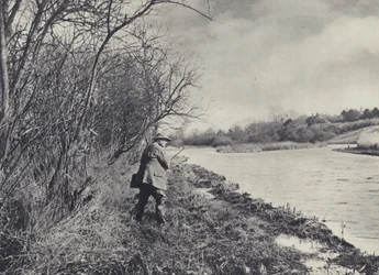 Spinning the Flooded Test