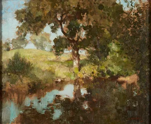 Summer Reflections
