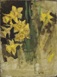 Daffodils