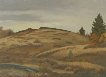 Autumn Fields
