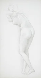 Female Nude Seen from the Rear