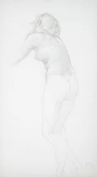 Female Nude Seen from the Rear