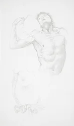 Male Nude Holding a Cushion
