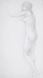 Standing Female Nude