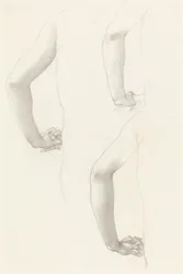 Studies of an Arm and Hands