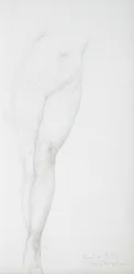 Study of Female Legs