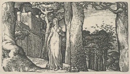 Lady with the Rooks