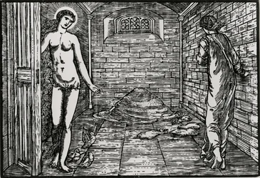 The Task of the Seeds