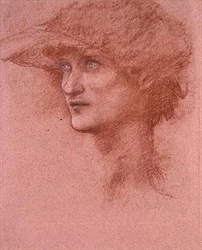 Study of Perseus in 