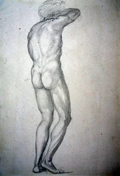 Study of a Standing Nude