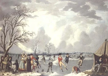 Skating Scene