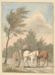 Horse Cart