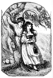 The Old Woman in the Wood