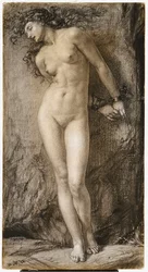 Andromeda