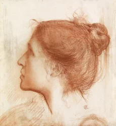 Head of a Woman