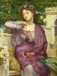 Unknown Image