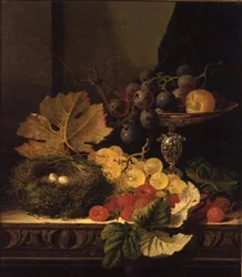 Unknown Image