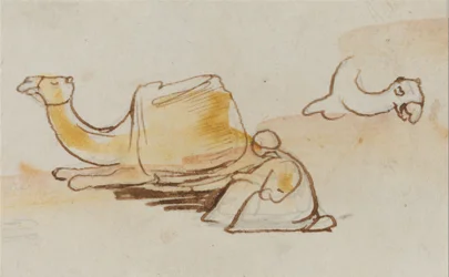 Camel Studies