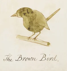 The Brown Bird, from Sixteen Drawings of Comic Birds