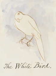 The White Bird, from Sixteen Drawings of Comic Birds