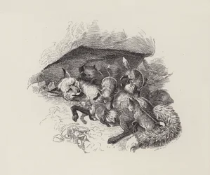 Illustration for The Water-Babies by Charles Kingsley