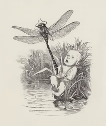 Illustration for The Water-Babies by Charles Kingsley