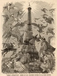 Birds of All Nations Flying to Eiffel Tower